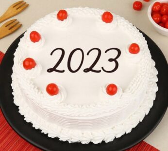 2023 Vanilla Cake Delight