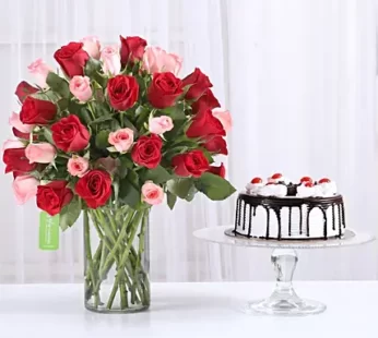 Red & Pink Roses With Black Forest Cake