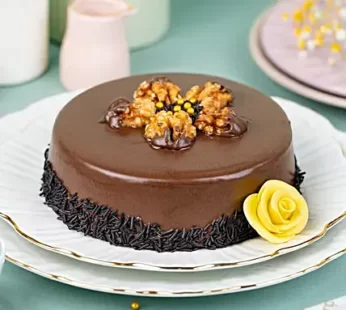 Truffle Walnut Cake