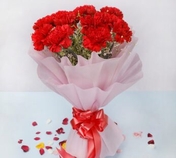 12 Red Carnations