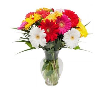 20 Mixed Gerberas with Vase