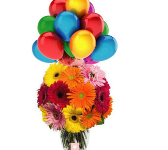 20 mixed gerberas in vase with 10 Balloons