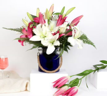 Assortment Of Lilies