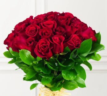 Lovely Red Roses