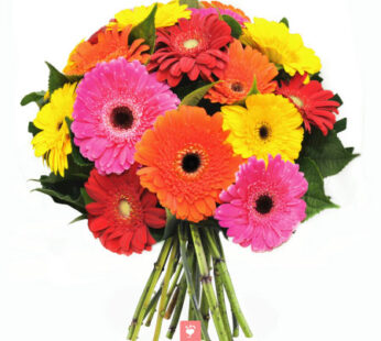 Mix Gerbera Bouquet Wrapped with Cellophane