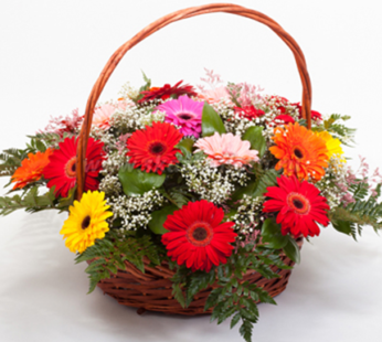 Mixed Gerbera with Basket