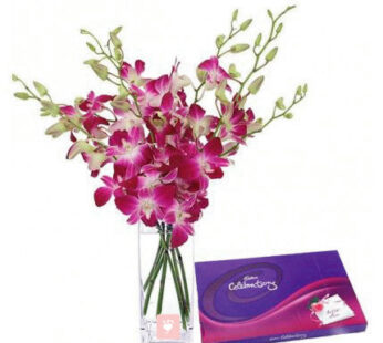 Orchids and celebration Pack