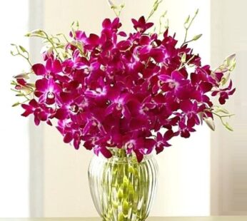 Purple Orchid with vase