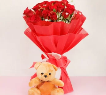 Red Cute Teddy Treat