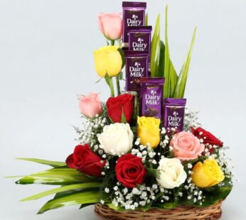 Rose N Dairy Milk Gift Basket