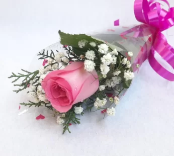 Sweet Pink Women’s Day Rose