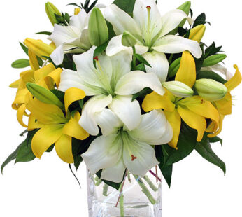 Yellow and White lilies with