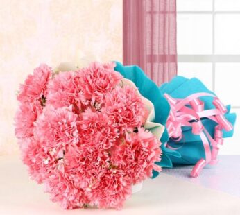 Graceful Pink Carnation