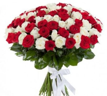 Red And White Treat – Bouquet Of White And Red Roses