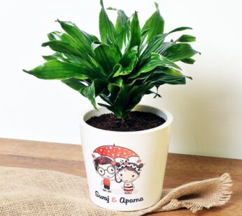 Personalised Couple Dracaena