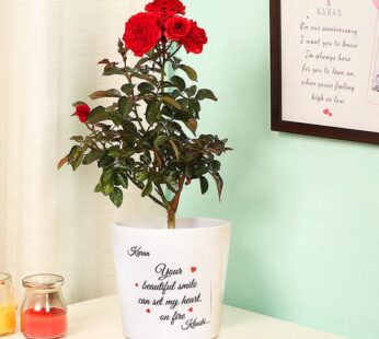 Personalised Rose Plant