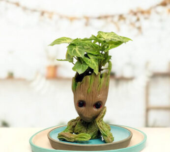 Thinking Groot Pot