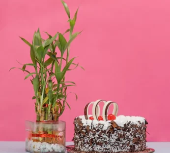 Blackforest Cake With Bamboo