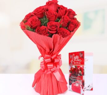 Charming Velvety Red Roses