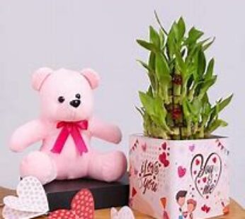 Adorable Teddy With Bamboo Combo