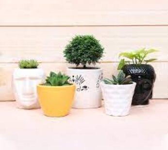 Nature In 5 Pots