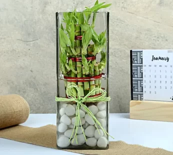 Exquisite Three Layer Bamboo Terrarium