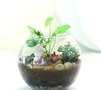 Jade N Syngonium Plant Potpouri Bowl Terrarium