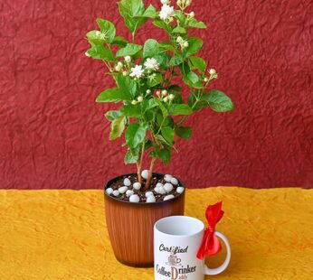 Mogra Plant With Mug For Coffee Lover Dad