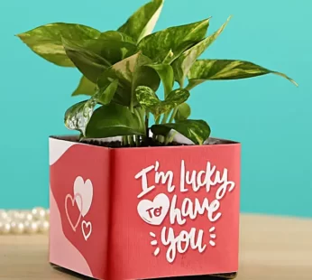 Lucky To Have You Glass Pot Plant