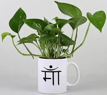 Money Plant In Maa Printed White Mug