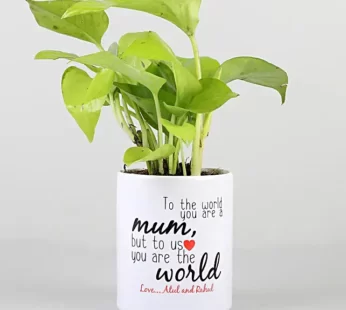 Money Plant In Stylish Personalised Mug White