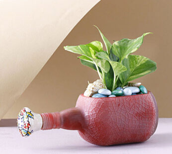 Money Plant Red Frozen Bottle Planter