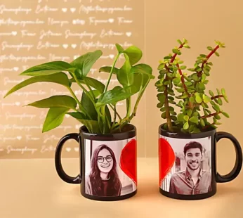 Personalised Plant Set for couples