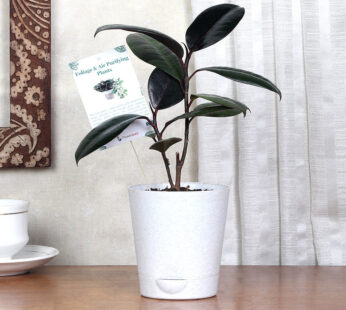 Rubber White Plant Vase