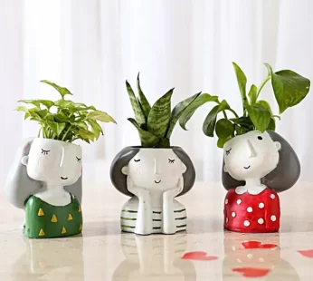 Set Of 3 Green Plants In Cute Girl Pots