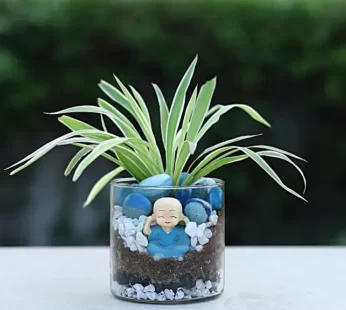 Spider Plant Cylindrical Vase Terrarium