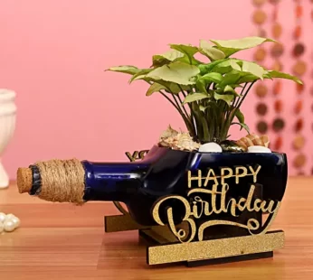 Syngonium Plant In Birthday Antiquity Bottle Planter