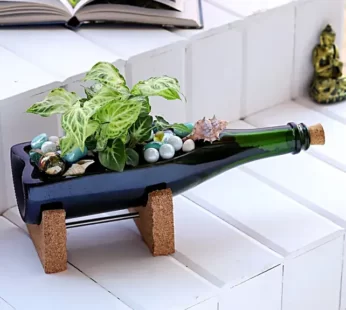 Syngonium Plant In Elegant Champagne Bottle Planter