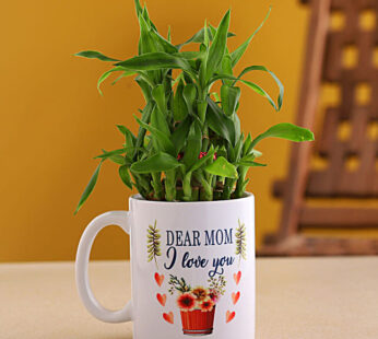 Two Layer Bamboo Plant In Mom I Love You Mug